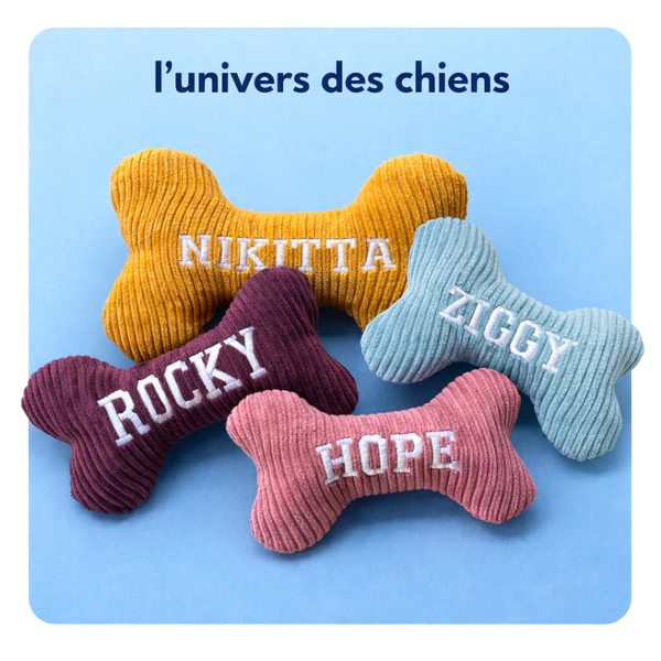 L'univers des chiens