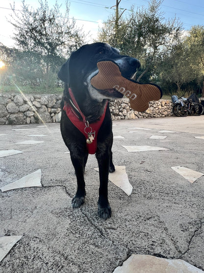 Jouet pour chiens en forme d'os, brodé, avec couineur, différentes tailles, plusieurs coloris
